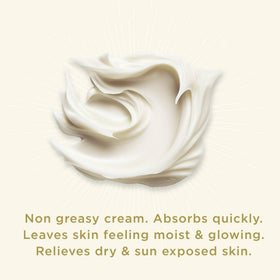 Pilotfish ingredients flatlay with shea butter, coconut and marigold for soothing
