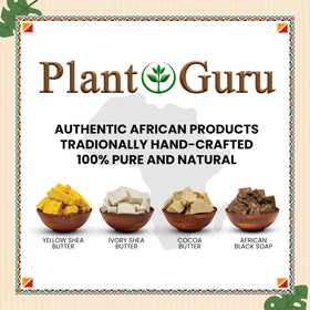Plant Guru applying lather to hair demonstrating clarifying scalp and residue removal