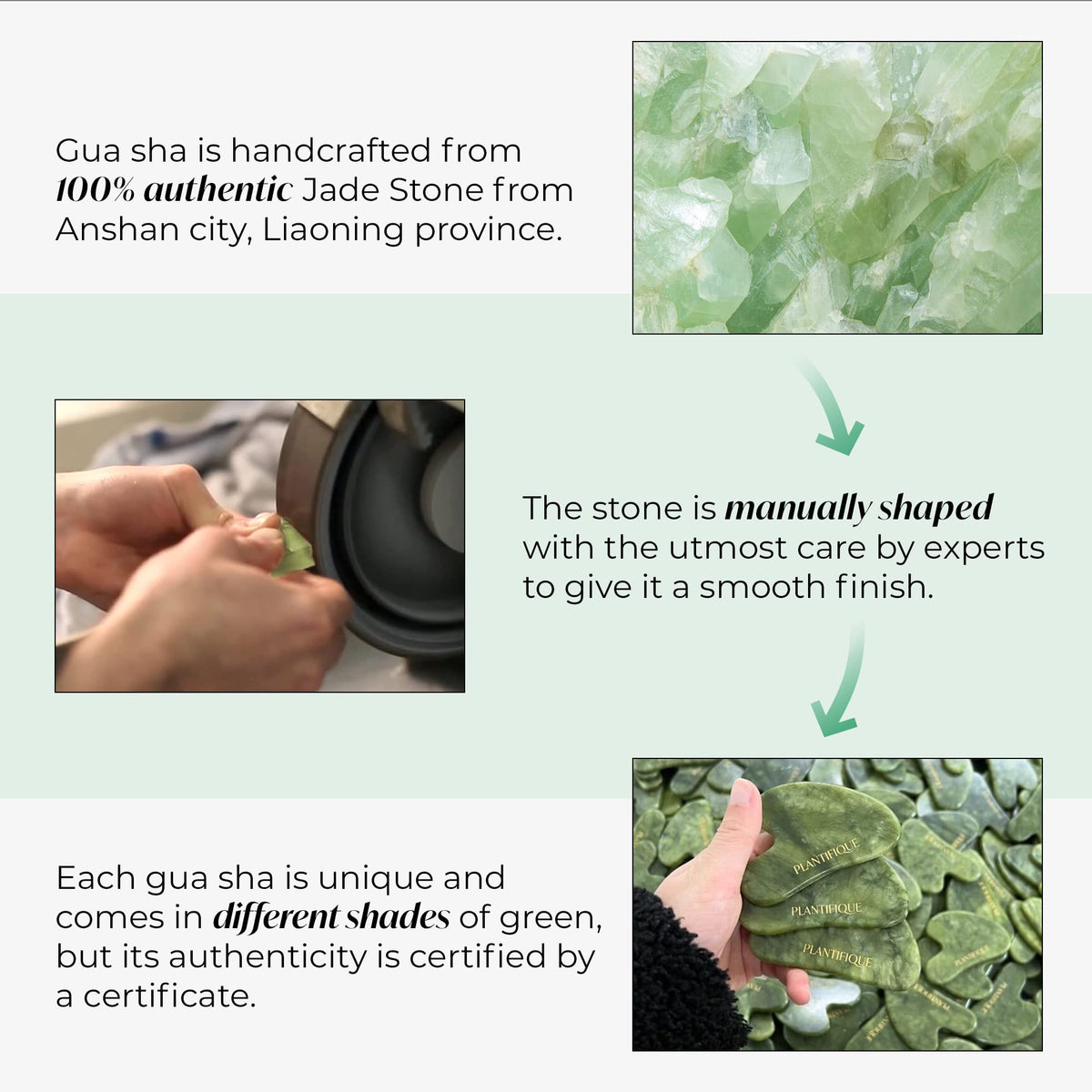 PLANTIFIQUE gua sha with instruction guide showing easy learning and technique benefit