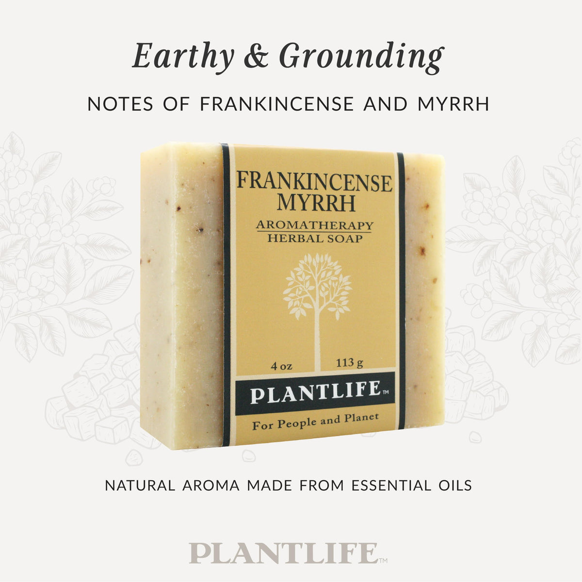 Plantlife soap in hand demonstrating convenient size and soft feel
