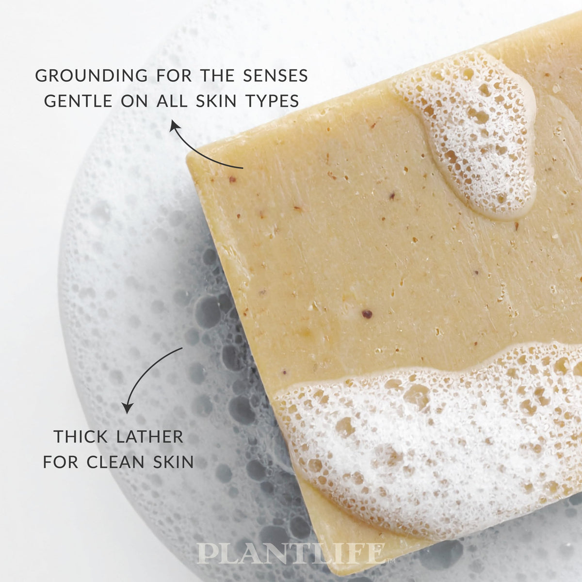 Plantlife botanicals and essential oils arranged to show natural ingredients