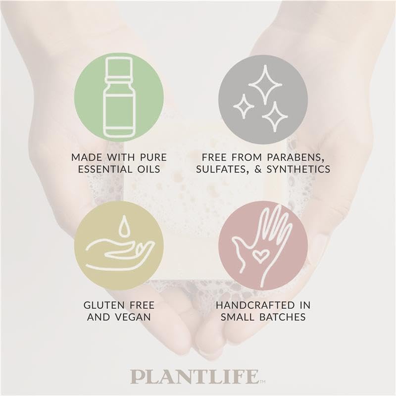 Plantlife patchouli bar with natural ingredients flatlay emphasizing plant-based benefit