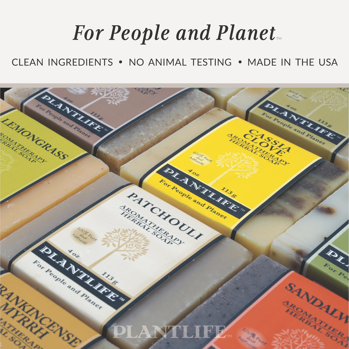 Plantlife soap next to ruler for 4oz scale and travel-friendly size