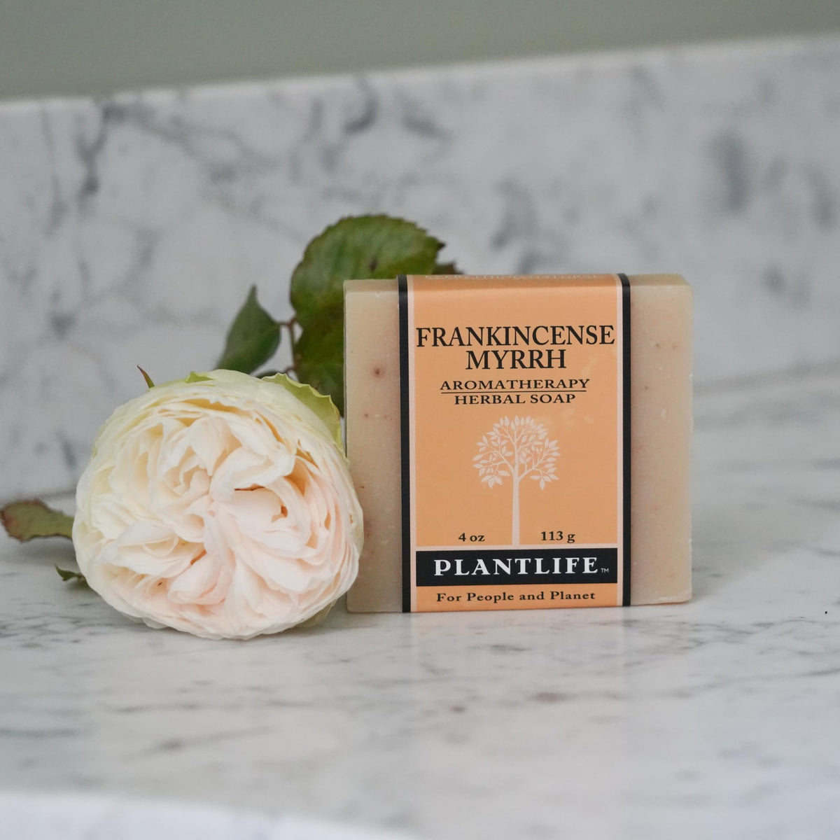 Plantlife close-up foam texture highlighting creamy lather and gentle cleanse