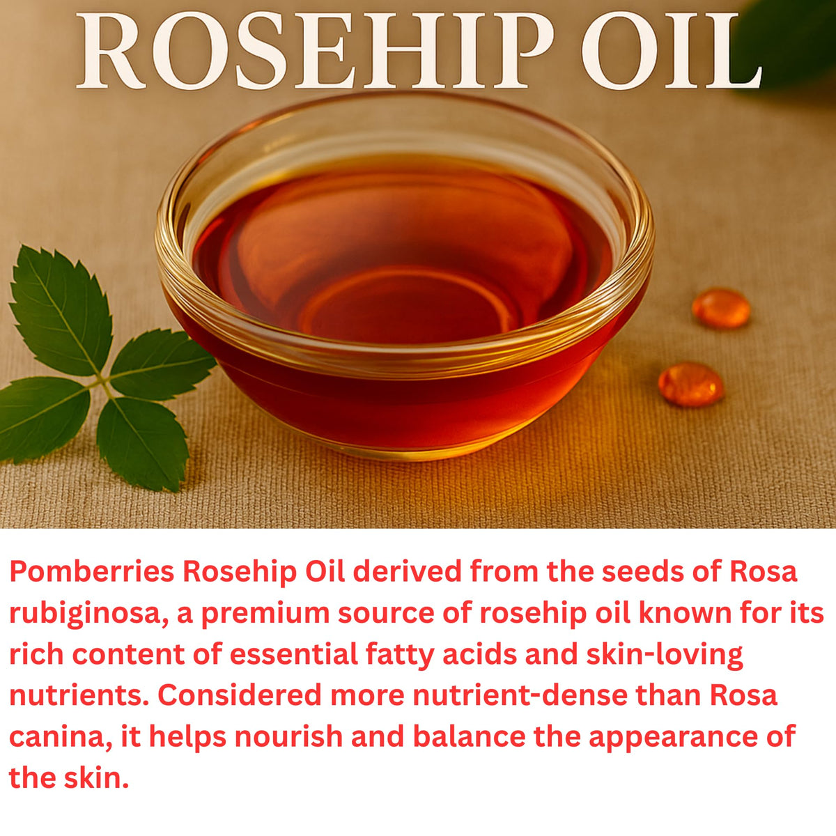 Pomberries rosehip oil dropper dispensing golden oil for precise, mess-free application