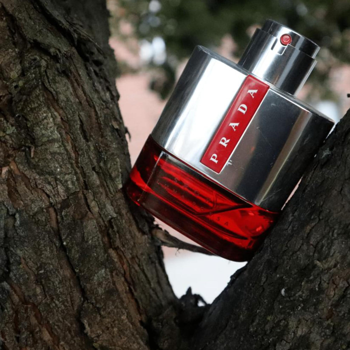 Prada Luna Rossa Sport ingredient display suggesting citrus and marine freshness