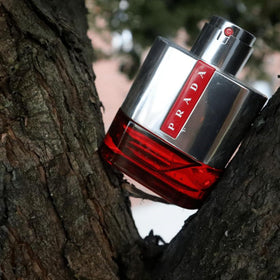 Prada Luna Rossa Sport ingredient display suggesting citrus and marine freshness