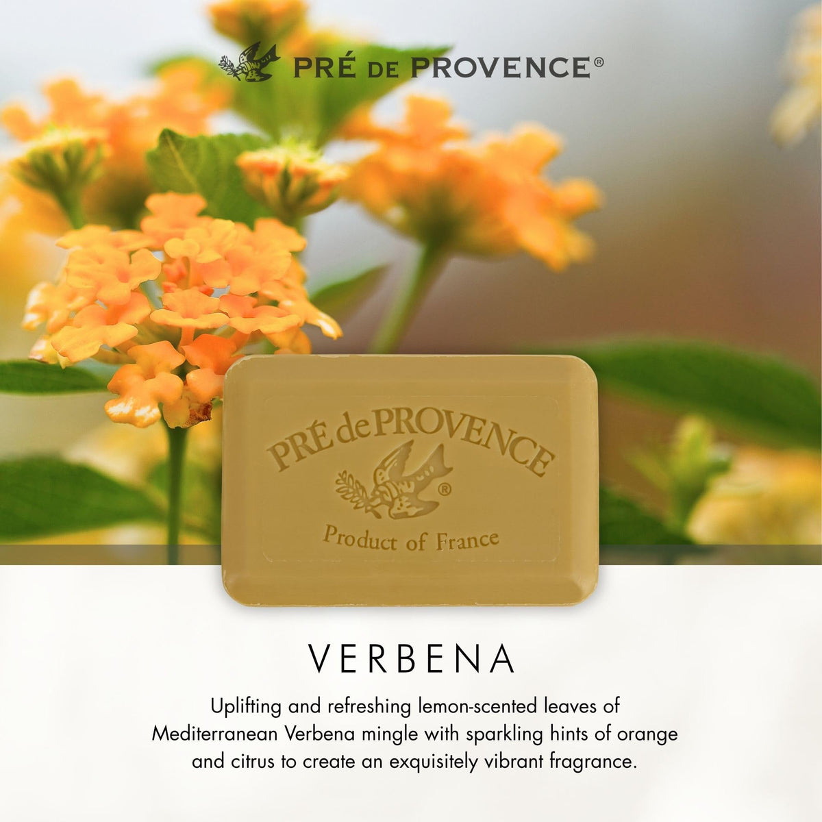 Pre de Provence verbena displayed in a gift basket for elegant gifting