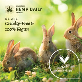 Premium Hemp Extract Daily label and ingredient list emphasizing organic, THC-free formula