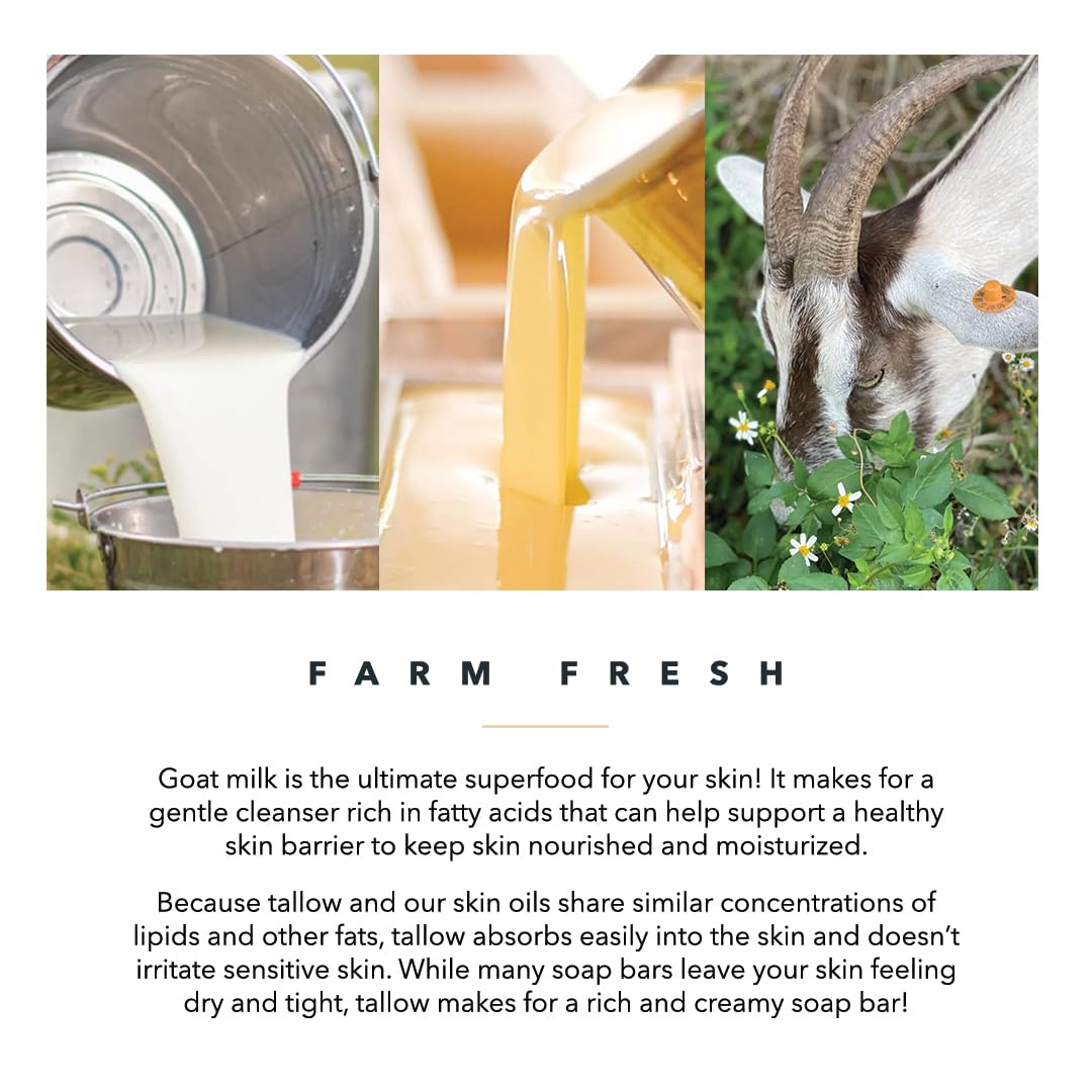 Pretty farm girl display of tallow honey and goat milk ingredients for nourishment