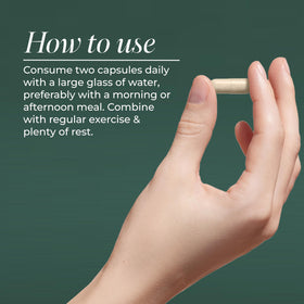 Primal Harvest capsule in hand to show size and daily dose convenience benefit