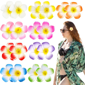 ProSuites front packaging showing 18 colorful plumeria clips, ready to gift