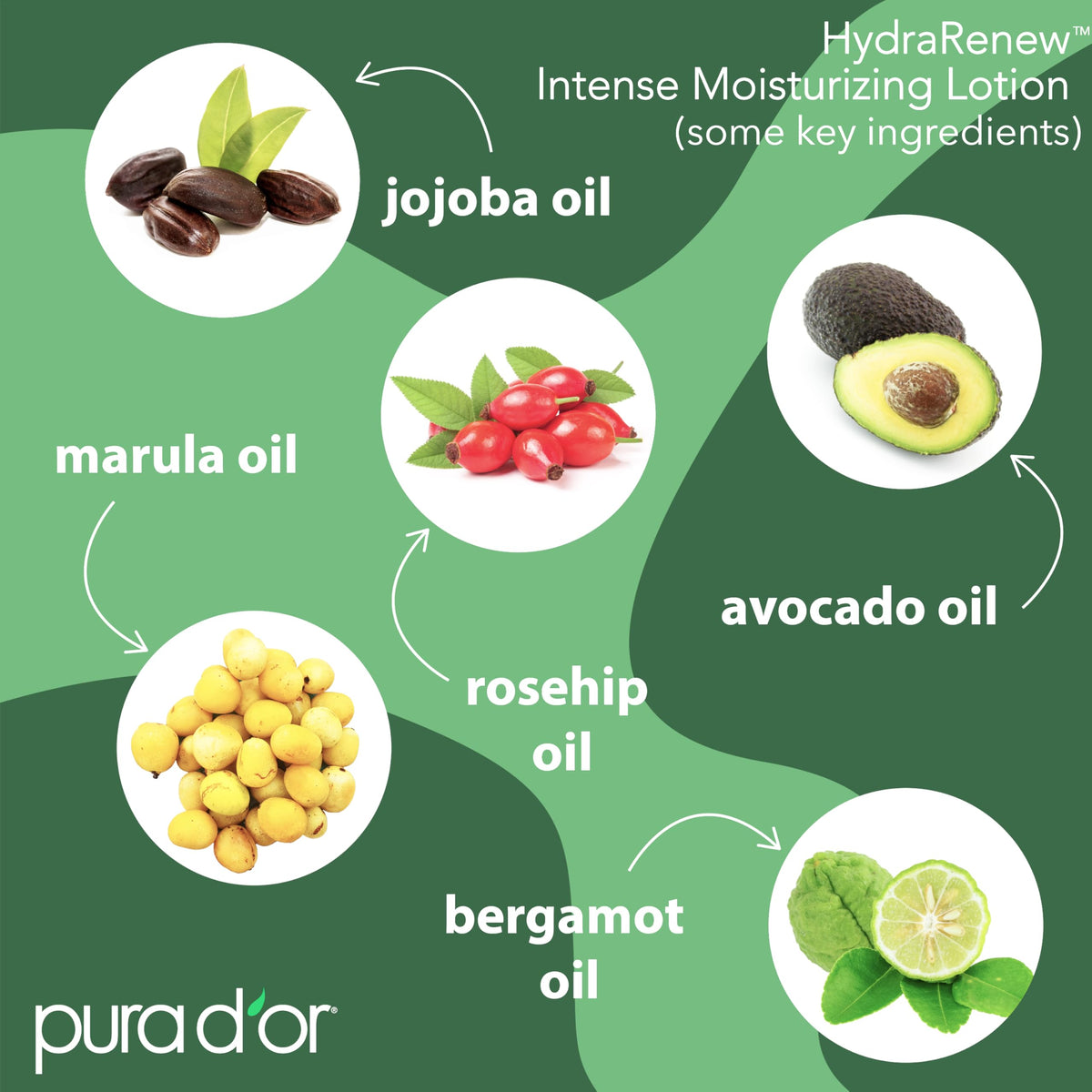 PURA D'OR pump dispensing lotion into hand for fast absorption benefit