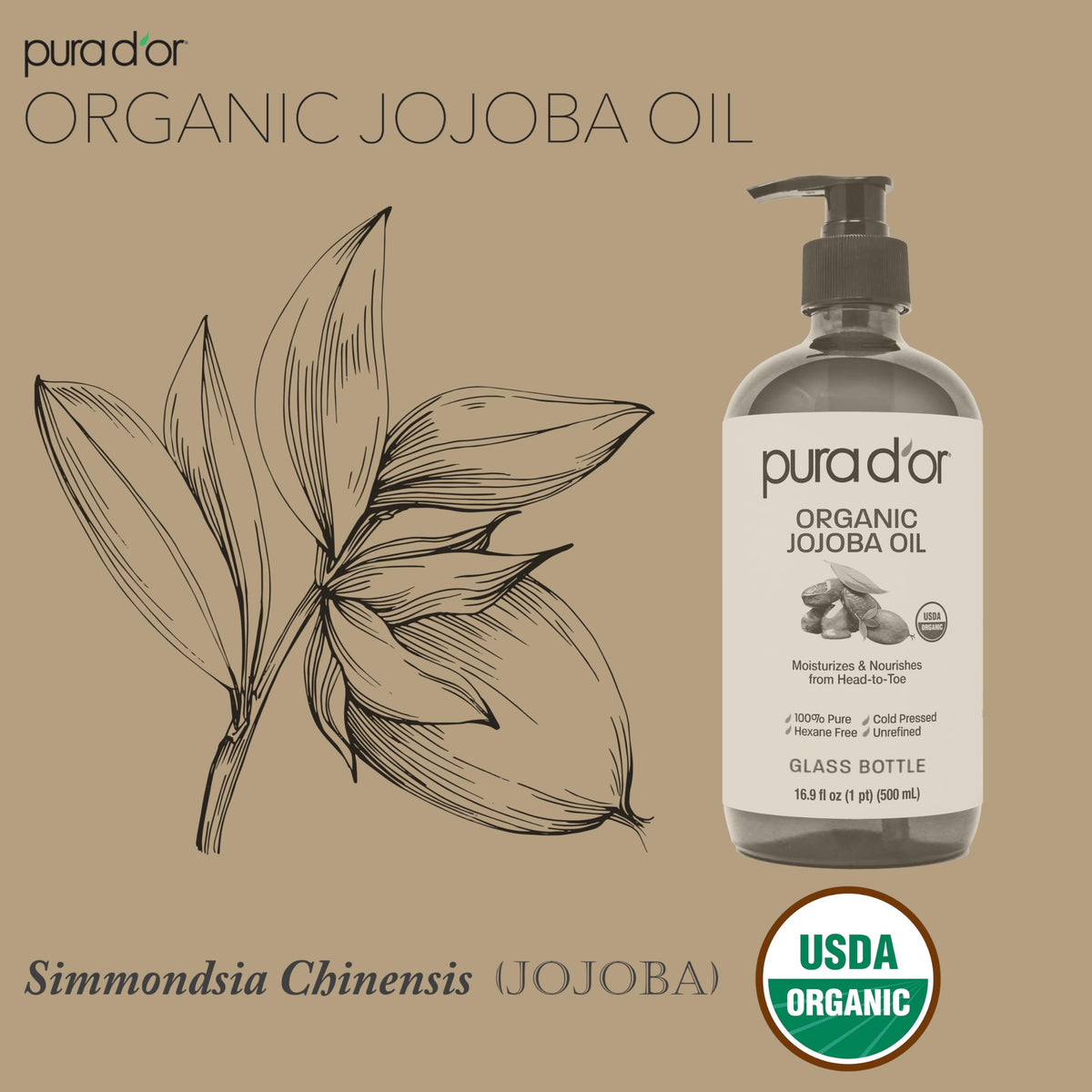 PURA D'OR bottle in hand illustrating 16.9 oz scale and long-lasting supply