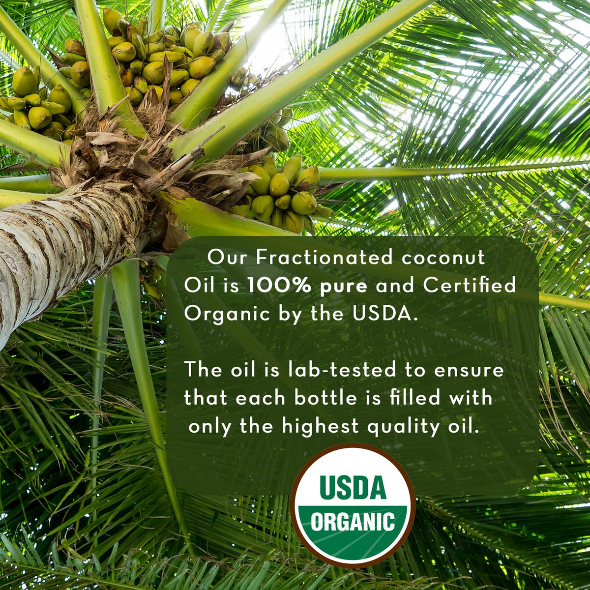 Pure Body Naturals pouring a single droplet for precise application benefit