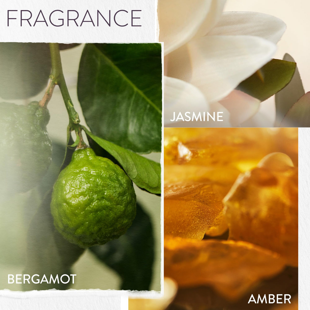 Pureology label close-up highlighting Triple Strength Healing Blend