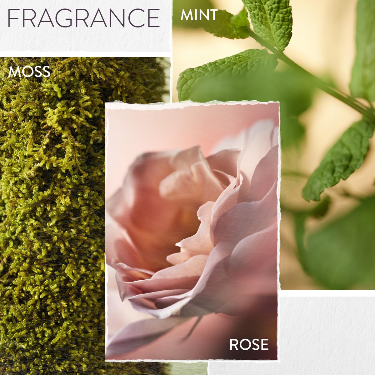 Pureology ingredient label focused on color-protecting benefits and vegan formula