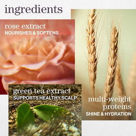 Pureology Hydrate rose extract close-up highlighting softness and natural extract