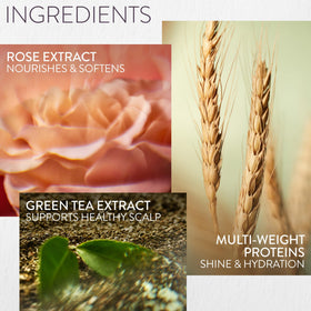 Pureology bottle beside rose extract emphasizing natural hydration boost