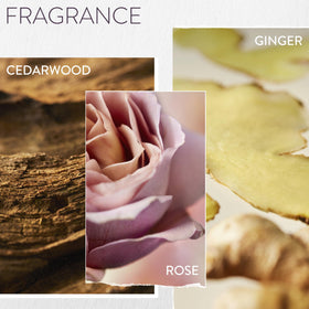 Pureology ingredients coconut and camellia display emphasizing natural nourishing oils