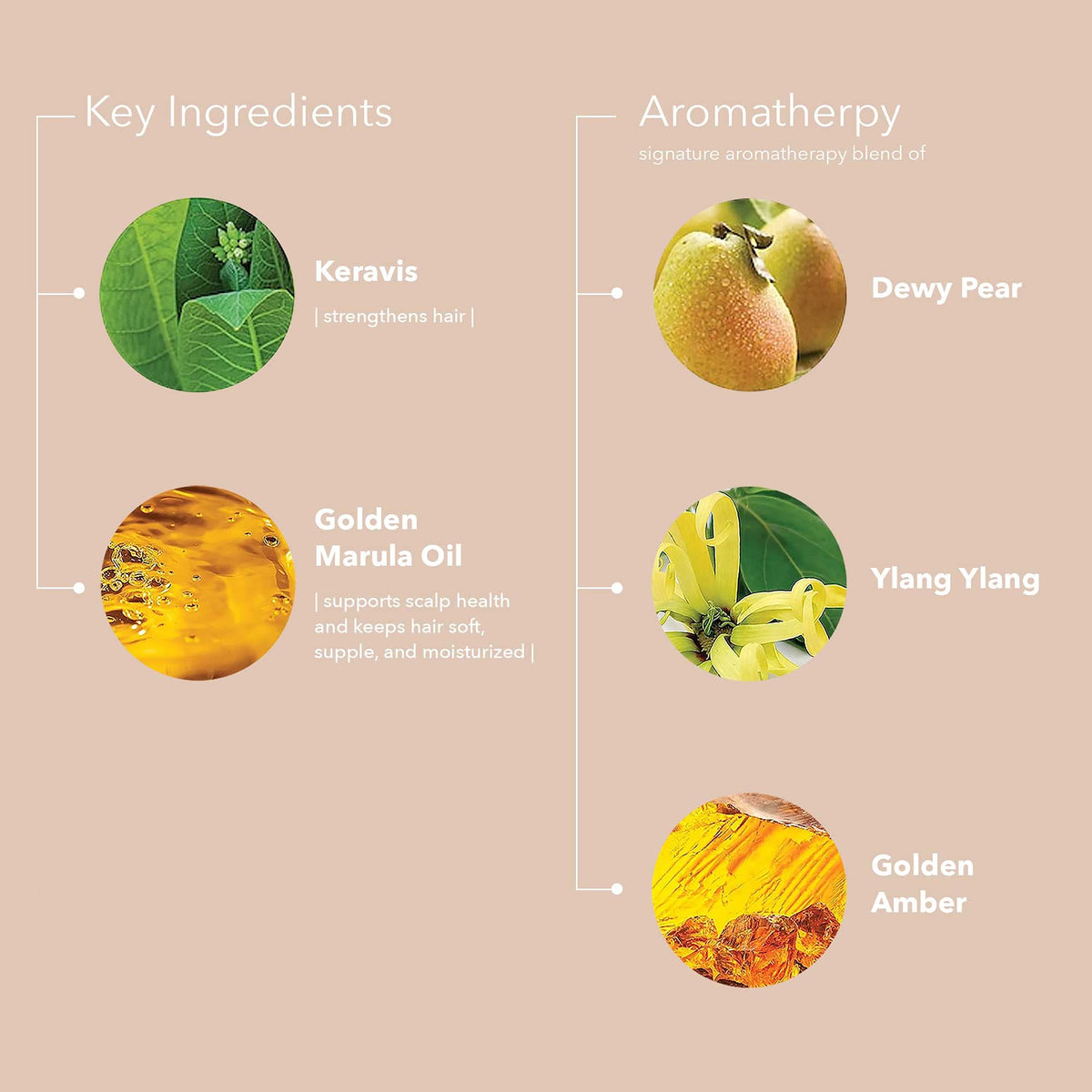 Pureology conditioner dispensed in hand illustrating easy application and detangling