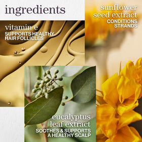 Pureology eucalyptus leaf close-up illustrating scalp-support benefit