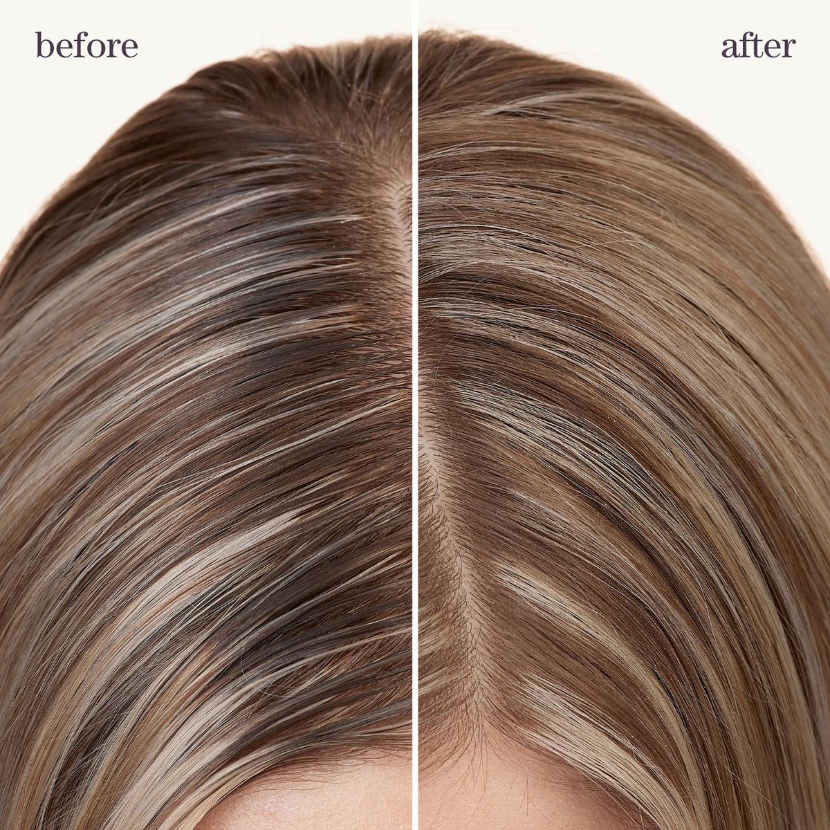Pureology rice-starch texture at roots, lightweight oil absorption benefit
