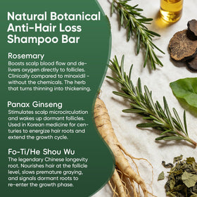 Pwkvsn rosemary and green tea ingredients emphasizing scalp refresh
