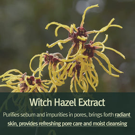Pyunkang Yul witch hazel and botanical ingredients highlighting soothing action