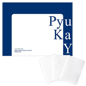 Pyunkang YUL front packaging showing 160-count pads and neat branding, ensures clear storage