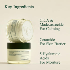 Pyunkang Yul product label close-up showing key ingredients and clean formula