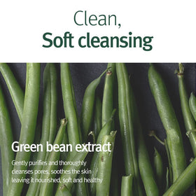 Pyunkang Yul in-hand use during face wash showcasing gentle application