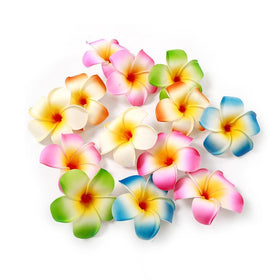 Qintreesify front view of multicolor plumeria clip showing bright petals and island style