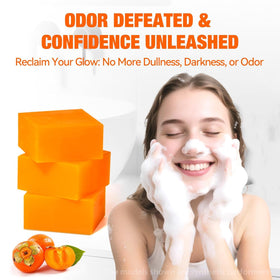 QualiLife persimmon fruit and extract visual linking natural ingredient to benefit