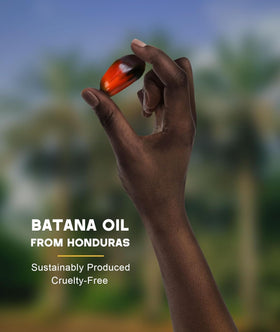 Qytin Batana with raw botanicals illustrating natural Honduran sourcing
