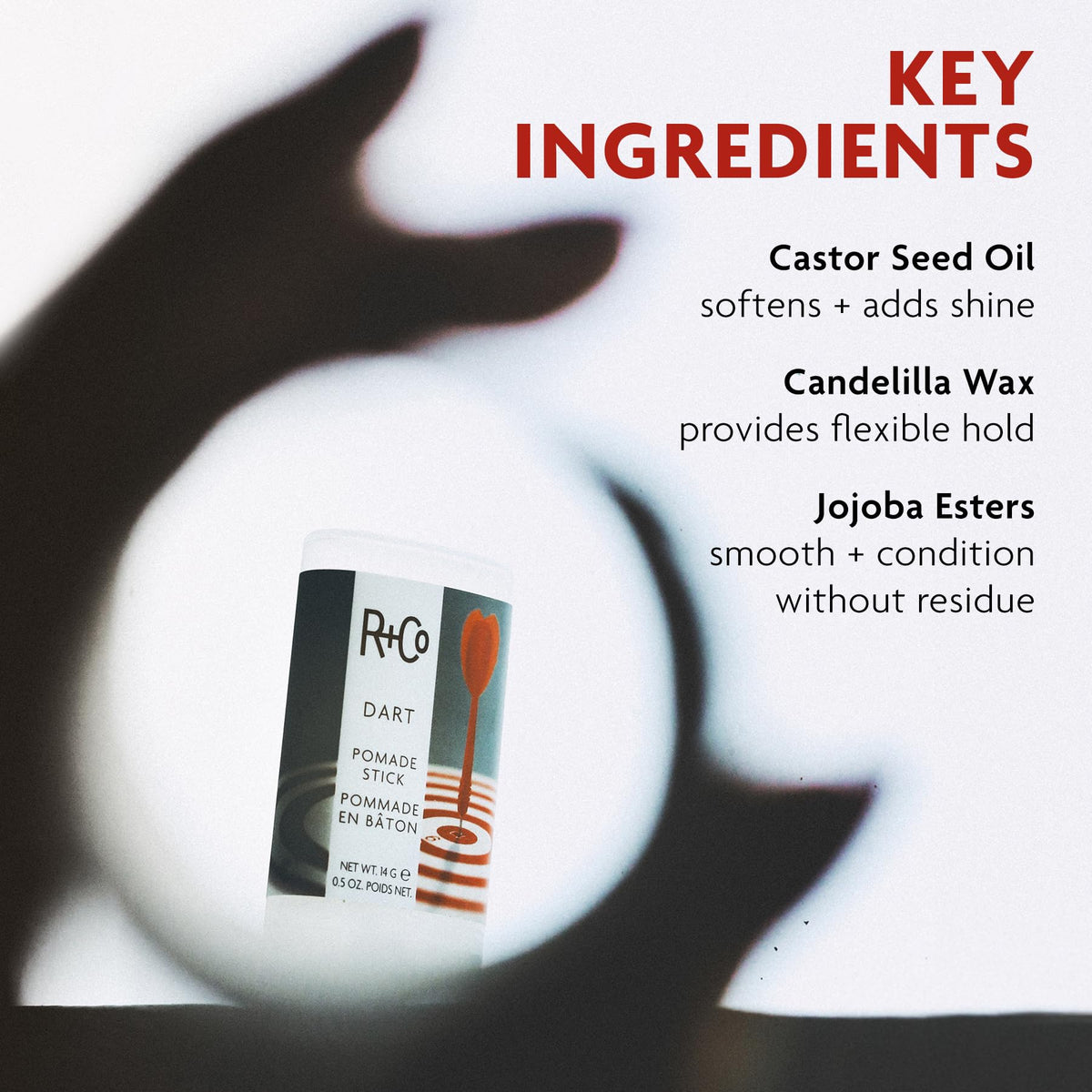 R+Co Dart applied to hair edges demonstrating flyaway control and polished look