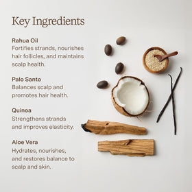 Rahua in-shower application with hands applying shampoo for scalp balance
