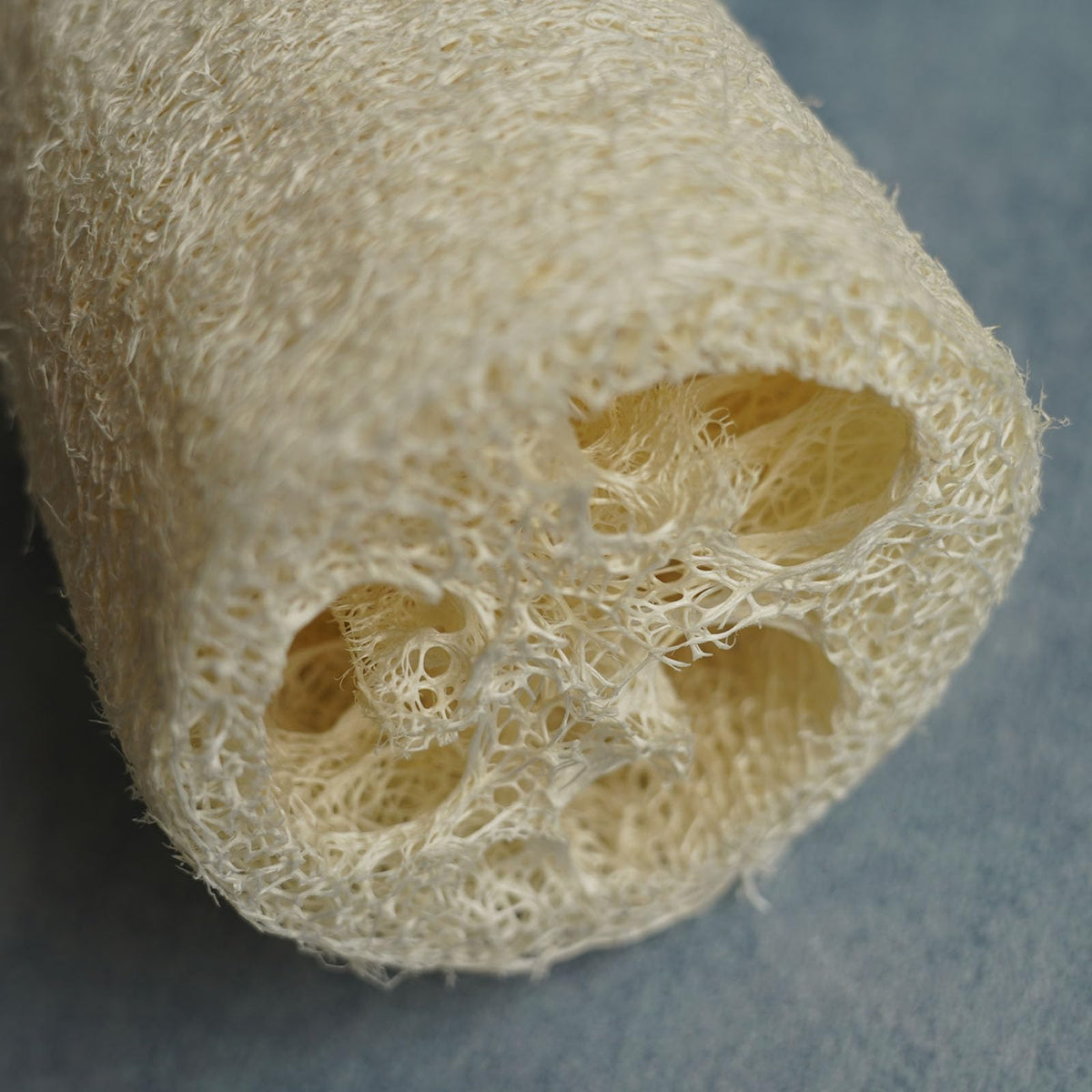 Rainlily Wen loofah texture close-up highlighting natural fibers for effective exfoliation