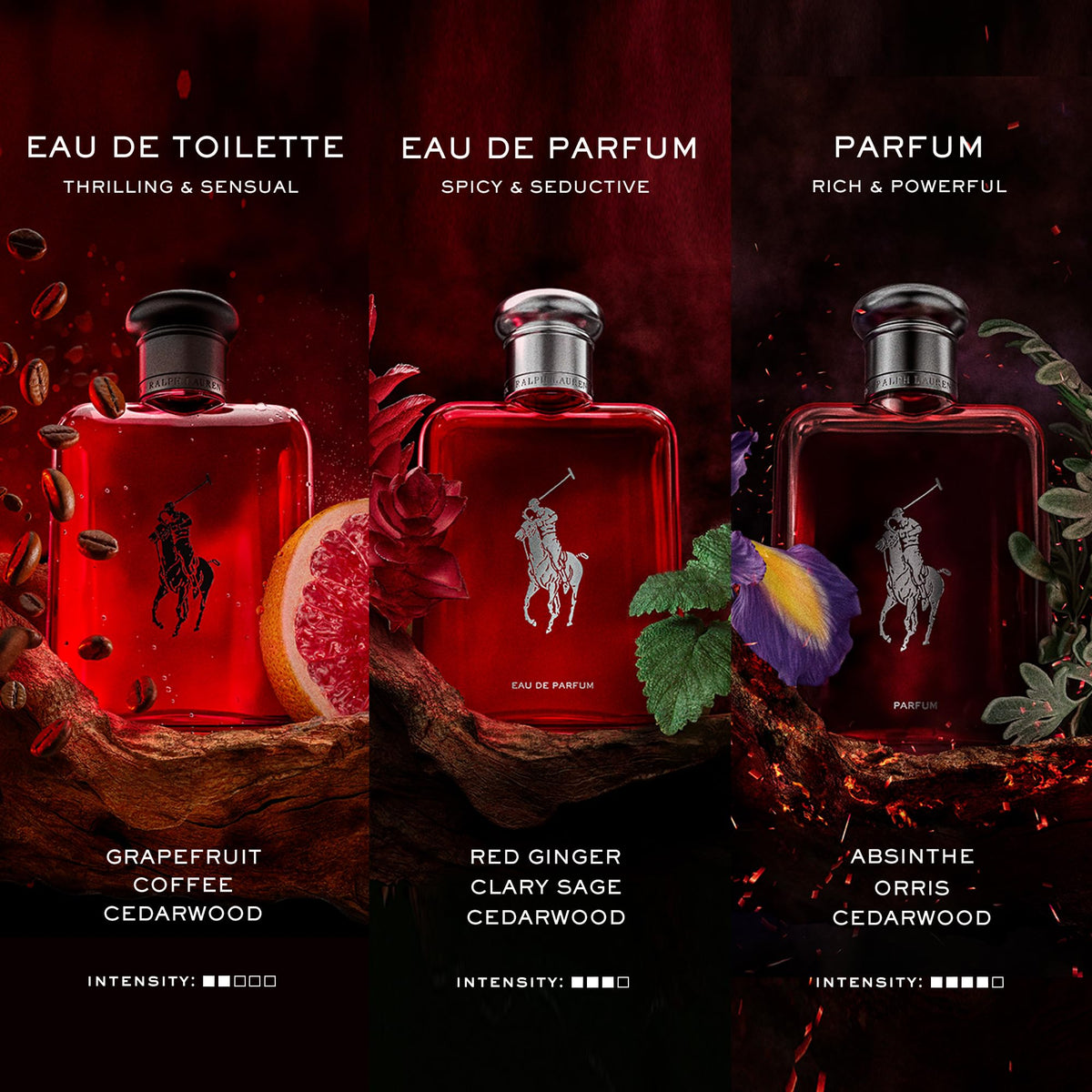 RALPH LAUREN FRAGRANCES Polo Red grapefruit note visual emphasizing bright citrus freshness