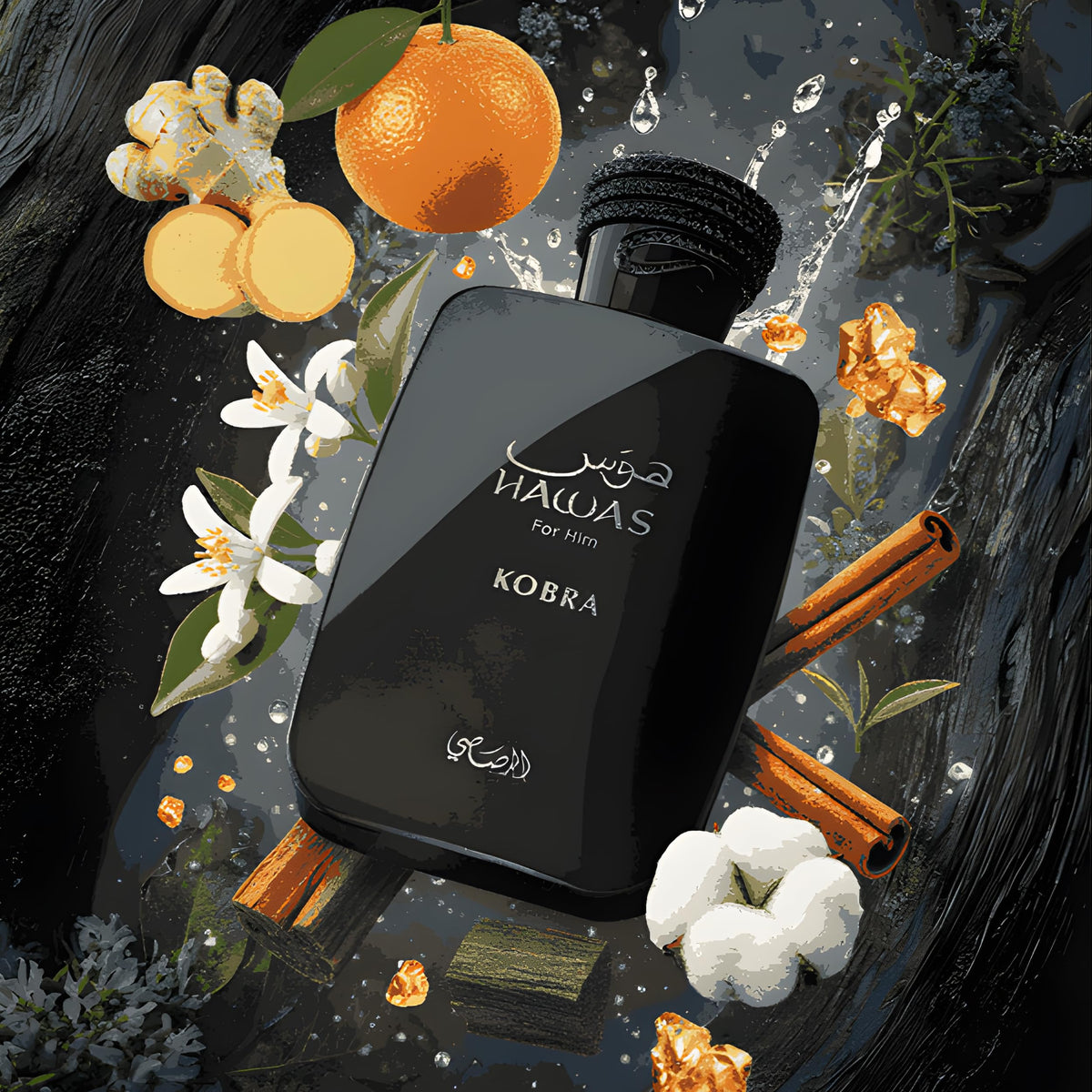 rasasi Hawas Kobra ingredients flatlay with citrus, ginger and amber accents