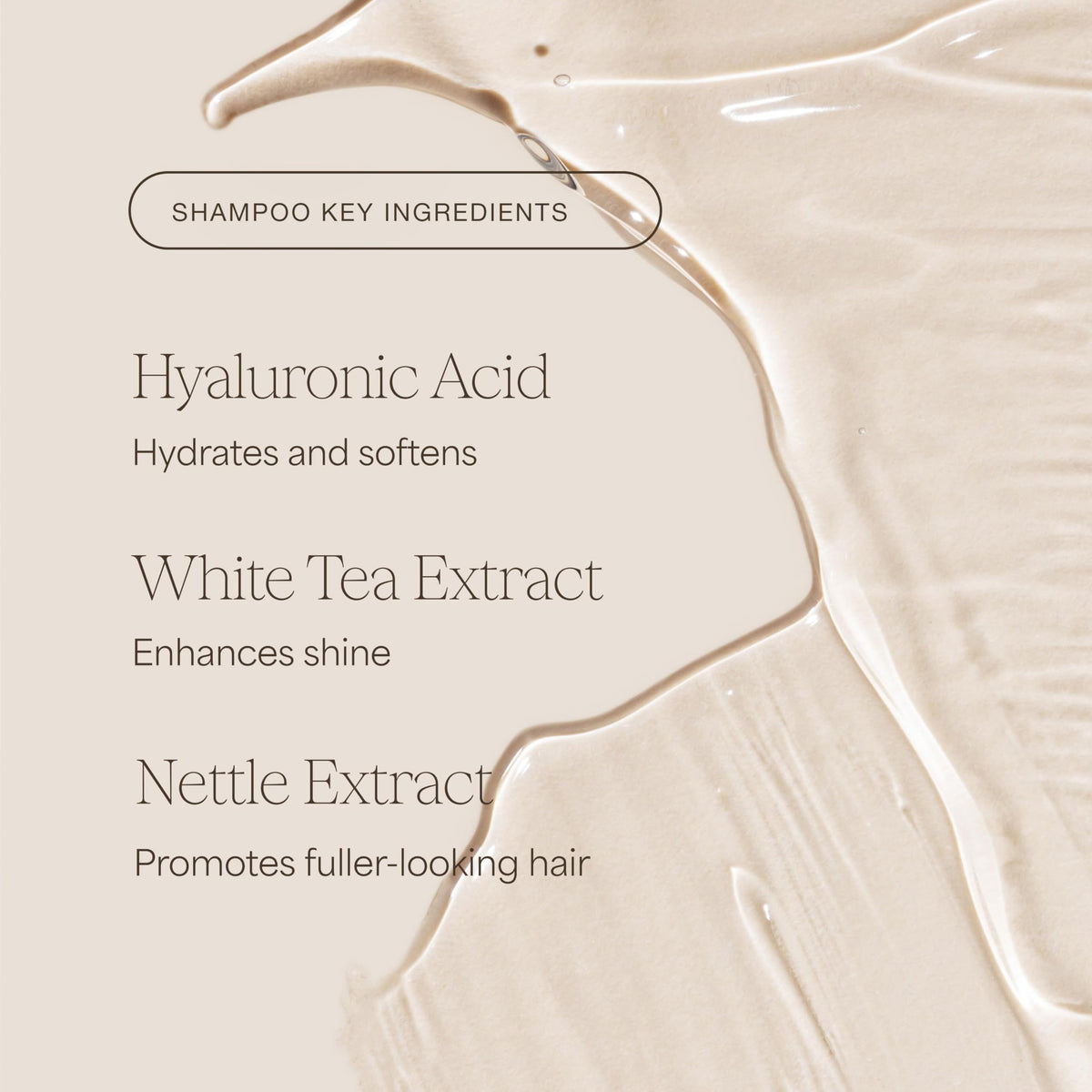 RAW SUGAR bottle label with ingredient list visible for clean-formula benefit