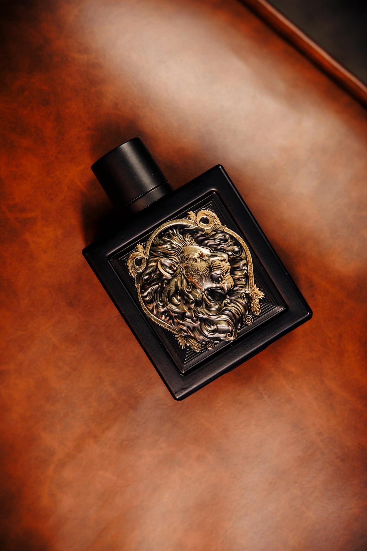 RAYHAAN Lion atomizer mist in motion showing fine spray for even coverage
