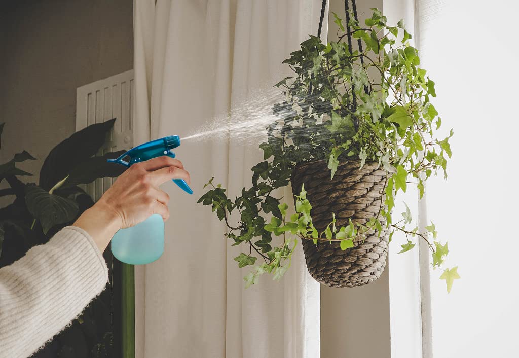 Rayson misting a houseplant showing gentle coverage and plant-friendly misting