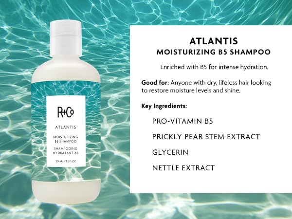 R+Co Atlantis pump dispensing shampoo texture, demonstrating easy application and moisture