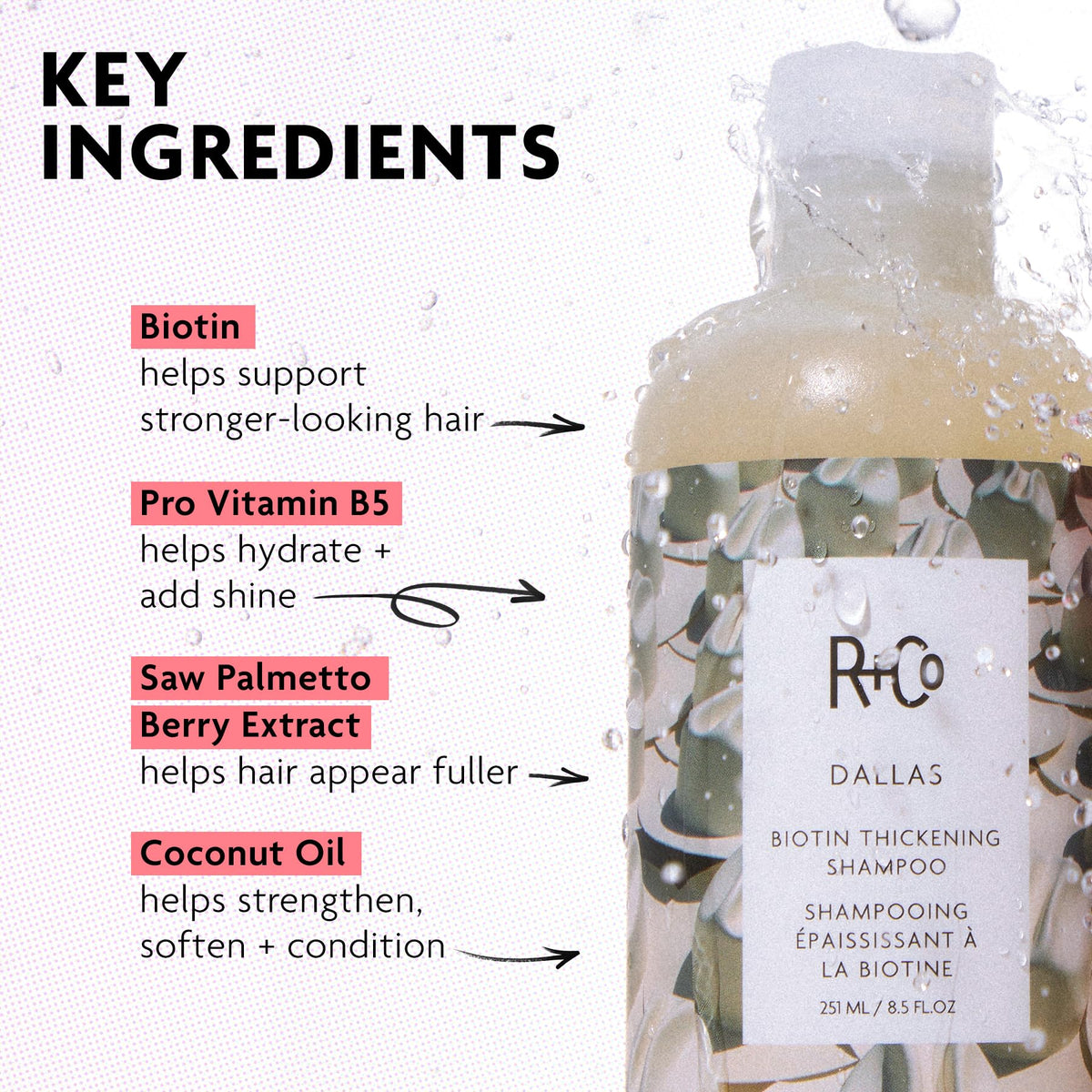 R+Co Dallas label close-up showing claims and clean formulation benefits