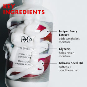 R+Co Television before and after hair demonstrating improved shine and softness
