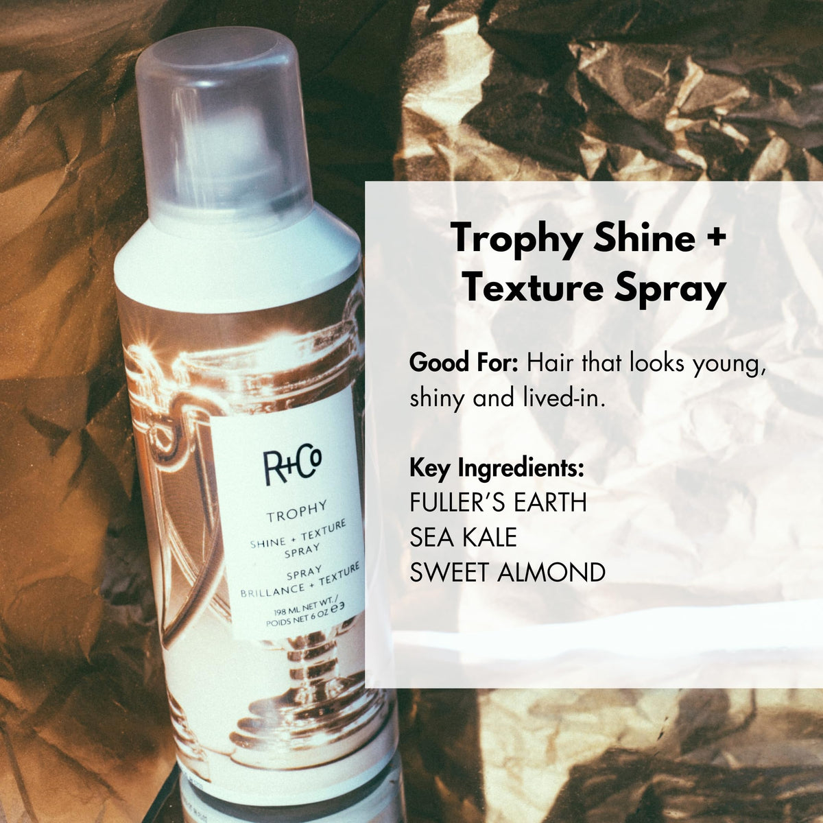 R+Co Trophy fine mist spraying, demonstrating even coverage and shine benefit