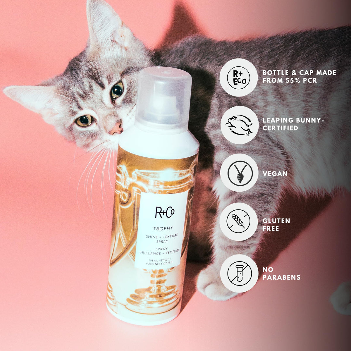 R+Co Trophy texture on hair, showing natural separation and lightweight volume