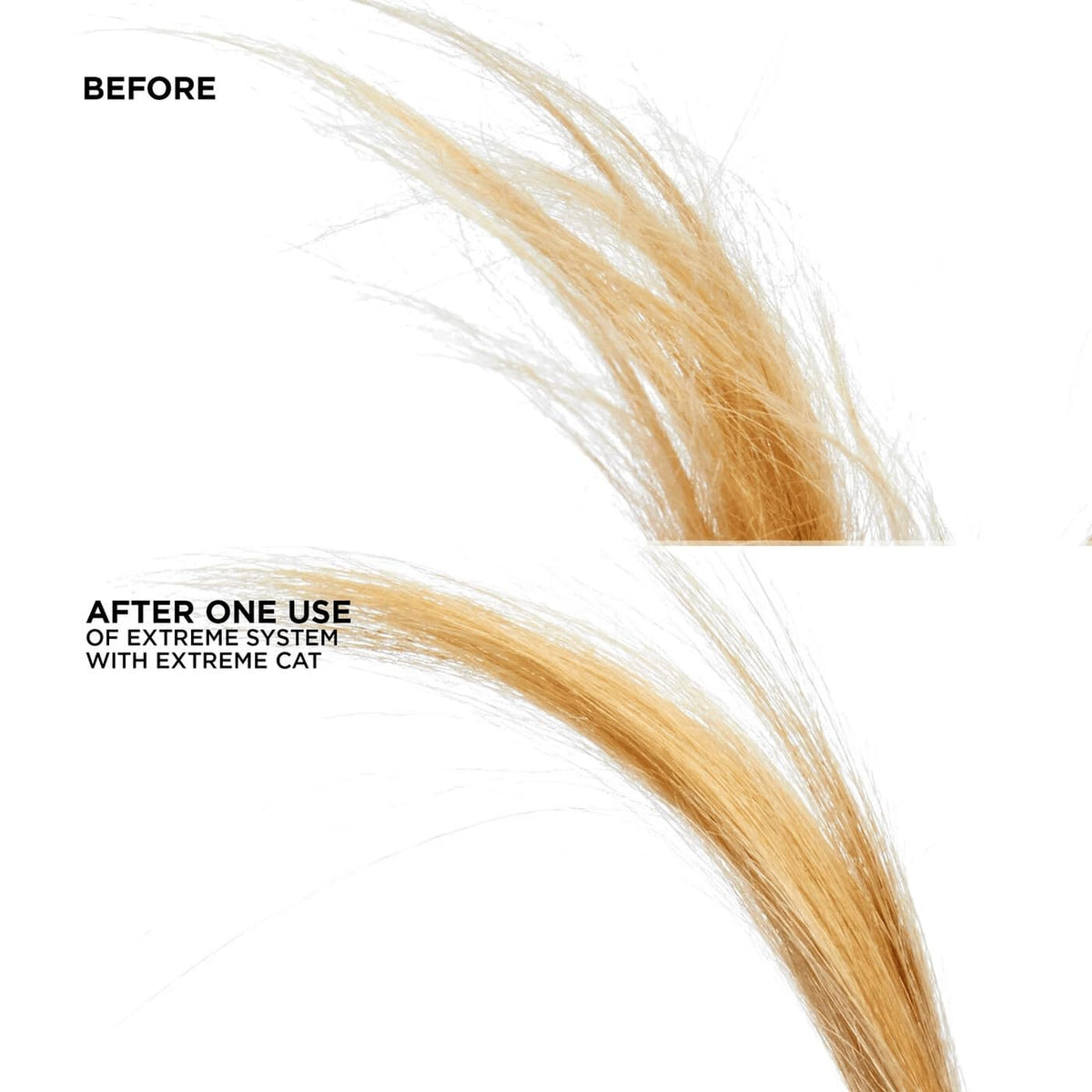 Redken Extreme CAT lifestyle bathroom shelf showing salon-quality repair on display