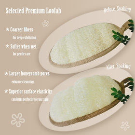ReedChacha dual-sided view showing loofah and terry for exfoliation and lather